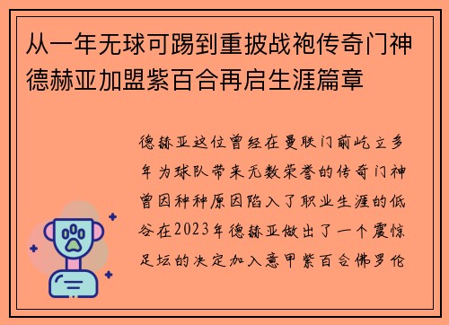 从一年无球可踢到重披战袍传奇门神德赫亚加盟紫百合再启生涯篇章